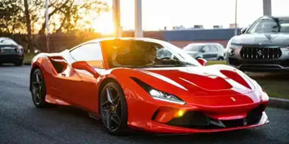 Car Brands That Have Horse Logos
