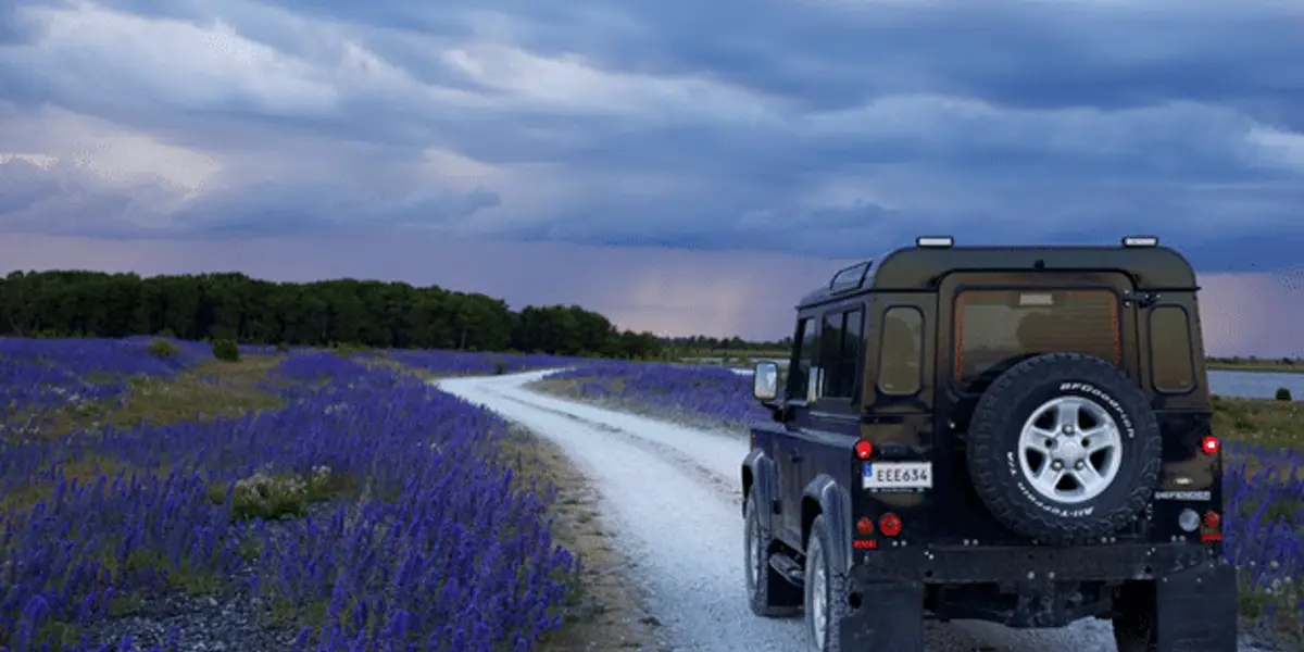How to Choose the Right Car Based on Your Lifestyle